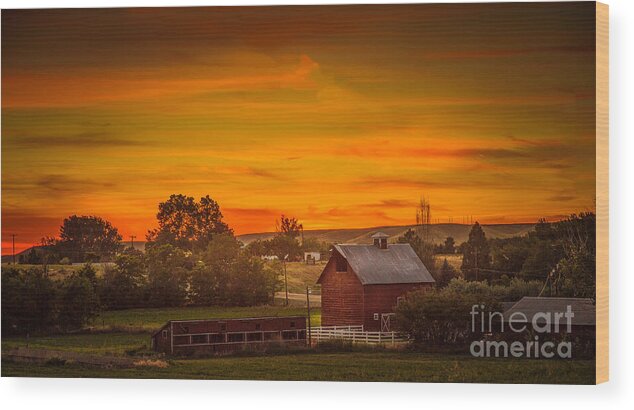 Old Wood Print featuring the photograph Old Red Barn by Robert Bales