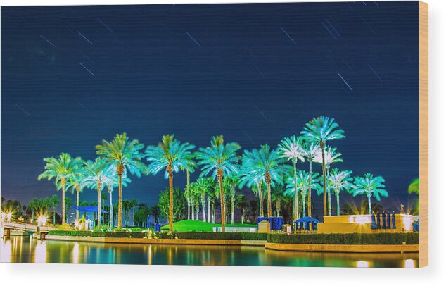 Palm Tree Wood Print featuring the photograph palm Trees by Hyuntae Kim