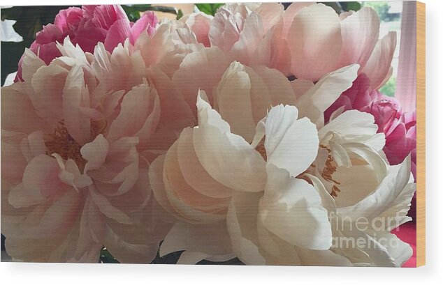 Peonies Petals Light Wood Print featuring the photograph Peony Series 1-1 #1 by J Doyne Miller