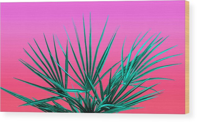 Vaporwave Wood Print featuring the photograph Pink Palm Life - Miami Vaporwave by Jennifer Walsh