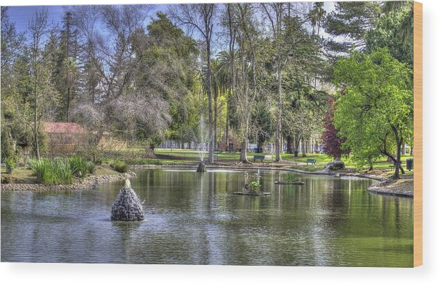 Landscape Wood Print featuring the photograph Pond in the City by Wendy Carrington