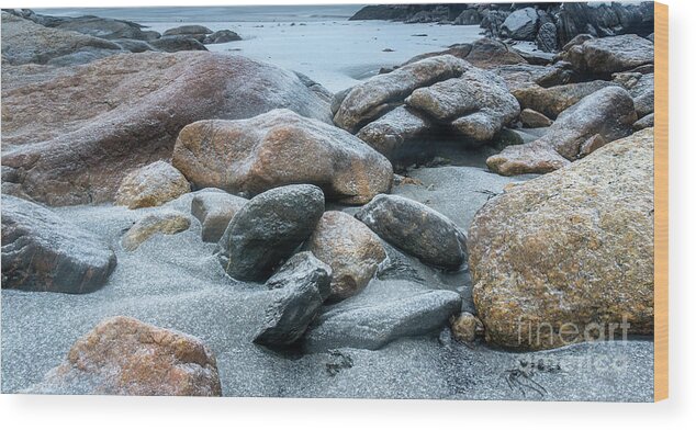 2018 Wood Print featuring the photograph Popham Beach Rocks by Craig Shaknis