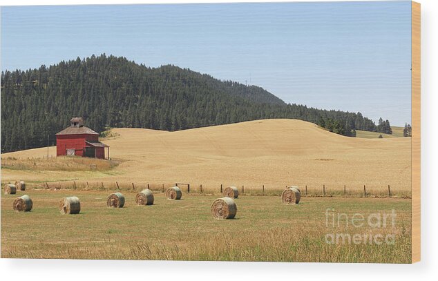 Red Barn Wood Print featuring the photograph Red Barn and Hay Bales 3616 by Jack Schultz