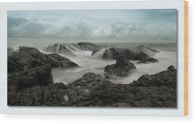 Forster Nsw Australia Wood Print featuring the digital art Rocky Forster 66881 by Kevin Chippindall