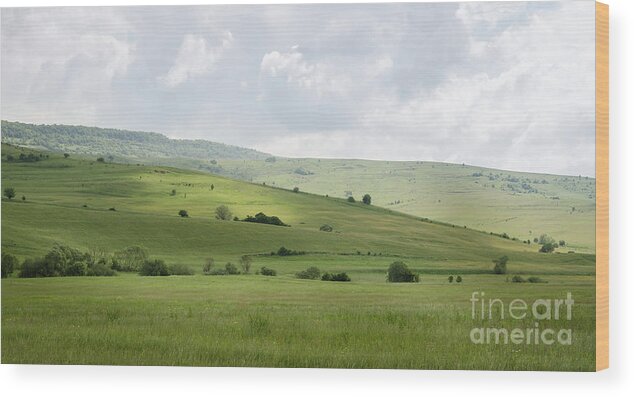 Clouds Wood Print featuring the photograph Rolling Landscape, Romania by Perry Rodriguez