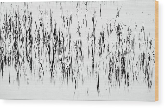 Impressionistic Wood Print featuring the photograph San Diego River Grass in Black and White by TM Schultze