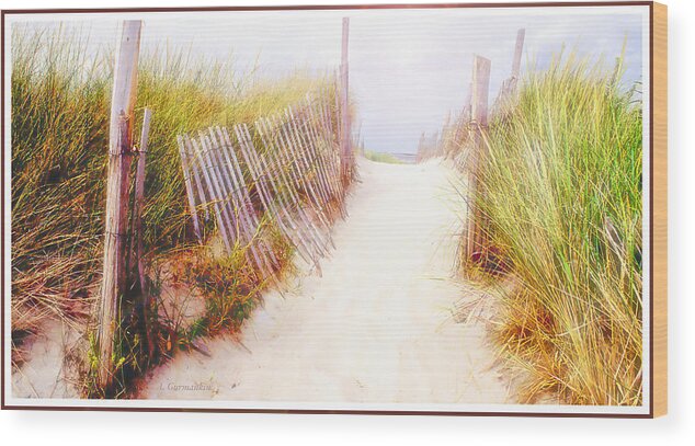 Dune Wood Print featuring the photograph Sand Dune Path by A Macarthur Gurmankin