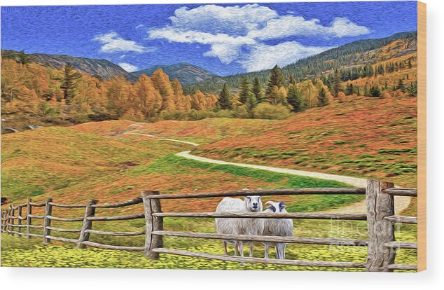 Sheep Wood Print featuring the photograph Sheep and Road Ver 1 by Larry Mulvehill