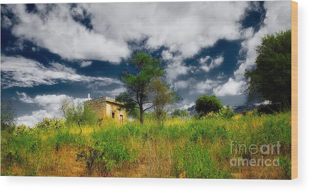 Sardegna Wood Print featuring the photograph Simple Things by Phil Cappiali Jr
