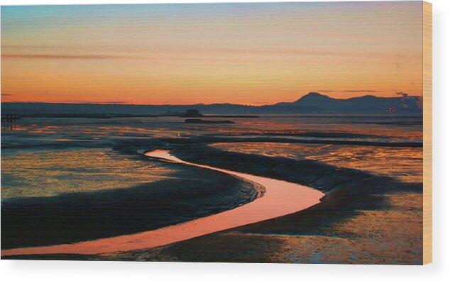 Skagit Wood Print featuring the photograph Skagit Flats by Tim Dussault