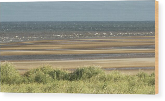 Landscape Wood Print featuring the photograph Sky, Sea, Sand, Sod... by Wendy Cooper