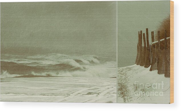Beach Wood Print featuring the photograph Solitude is Deafening by Dana DiPasquale