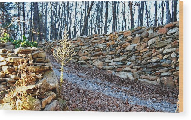 Photograph Wood Print featuring the photograph Stone Wall GA Mountain 1 by Angela Murray