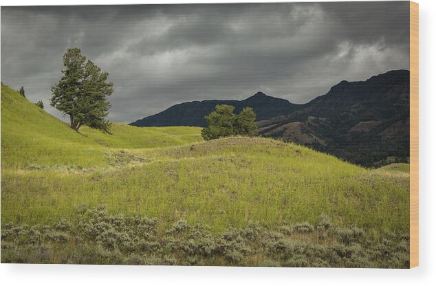 Yellow Wood Print featuring the photograph Stormy Fields of Yellow by Bryant Coffey