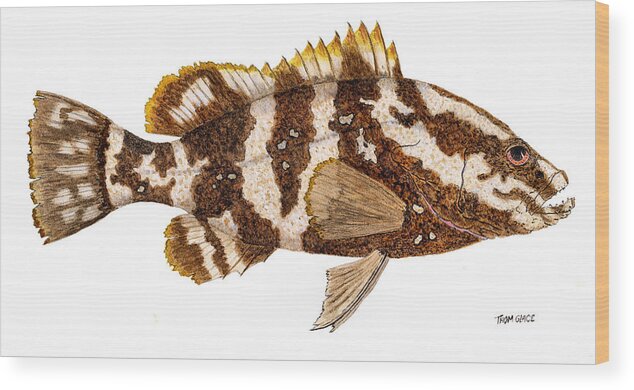 Fish Wood Print featuring the painting 'Study of a Nassau Grouper' by Thom Glace