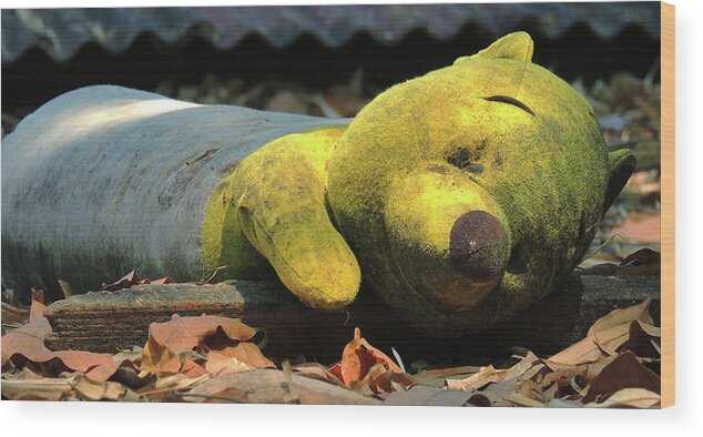 Leaves Wood Print featuring the photograph The lonely teddy bear by Jeremy Holton