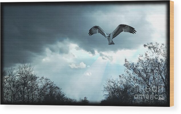 Falcon Wood Print featuring the digital art The Hawk by - Zedi -