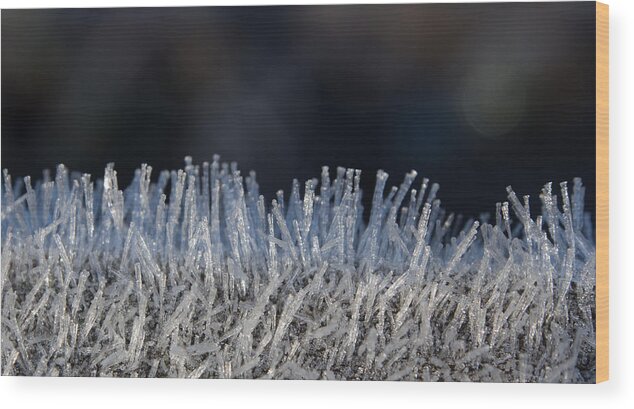 Forst Wood Print featuring the photograph This is Frost by Gary Karlsen