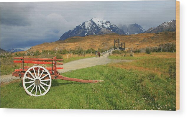 Torres Del Paine Wood Print featuring the photograph Torres del Paine - Patagonia by Bruce J Robinson