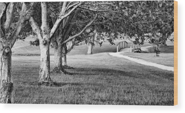 Greg Jackson Wood Print featuring the photograph Tree-lined Path to Footbridge - b/w by Greg Jackson
