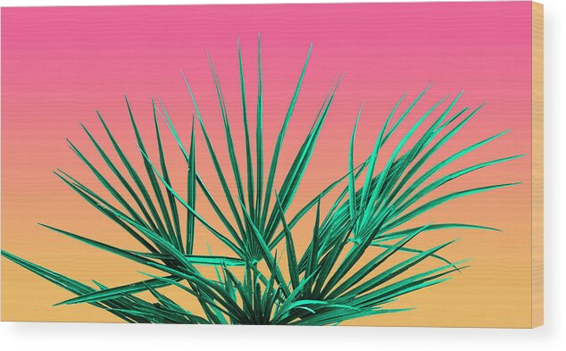 Palm Tree Wood Print featuring the photograph Vaporwave Palm Life - Miami Sunset by Jennifer Walsh