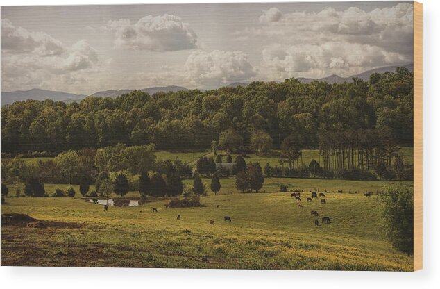 Farm Wood Print featuring the photograph Vintage Farm by Eleanor Bortnick