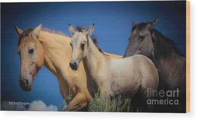 Horses Wood Print featuring the photograph Wild Horses on Blue Sky by Veronica Batterson