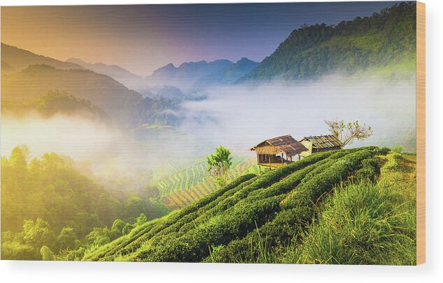 Scenics Wood Print featuring the photograph Beautiful Sunshine At Misty Morning #4 by Primeimages