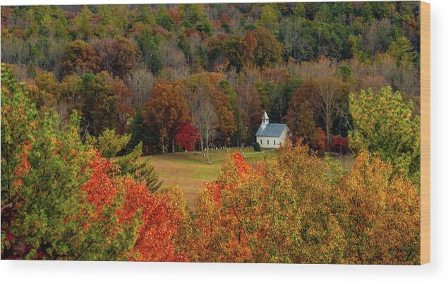 Church Wood Print featuring the photograph A Rich View by Marcy Wielfaert