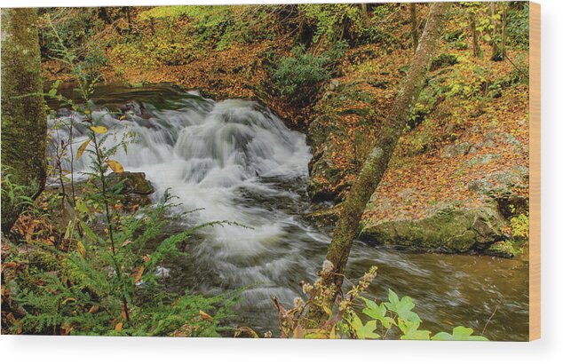 Fall Wood Print featuring the photograph Above the Falls by Marcy Wielfaert