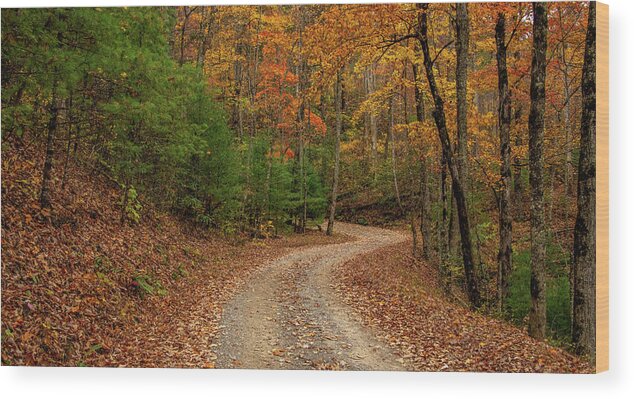 Woods Wood Print featuring the photograph Around the Next Bend by Marcy Wielfaert