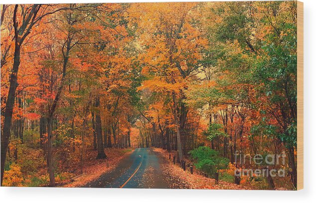 Foliage Wood Print featuring the photograph Autumn Rain by Dani McEvoy
