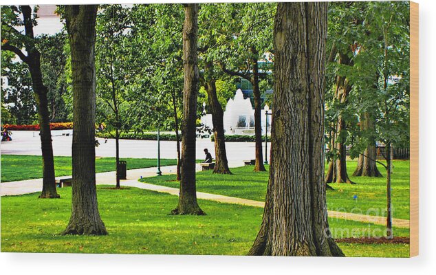 Restful Wood Print featuring the photograph Capitol Hill Summer - A Quiet Moment by Steve Ember