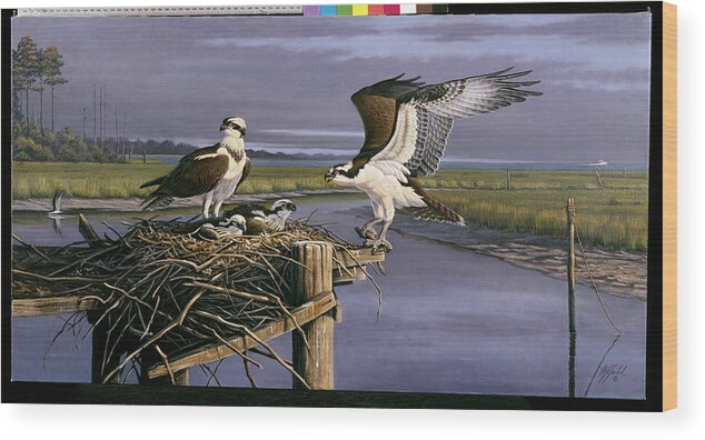 Chesapeake Treasurers - Osprey Wood Print featuring the painting Chesapeake Treasurers - Osprey by Wilhelm Goebel