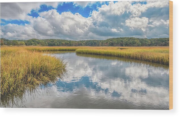 Cheesequake Wood Print featuring the photograph Cloudy Day At The Estuary by Gary Slawsky