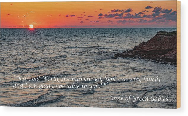 Quotation Wood Print featuring the photograph Dear Old World by Marcy Wielfaert
