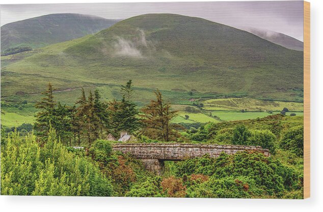 Ireland Wood Print featuring the photograph Emerald Isle Countryside by Marcy Wielfaert