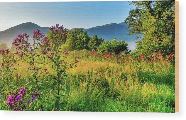Cades Cove Wood Print featuring the photograph Field Flowers of Late Summer by Marcy Wielfaert