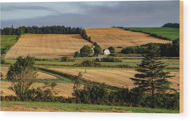 Pei Wood Print featuring the photograph Fields and Farms Patchwork by Marcy Wielfaert