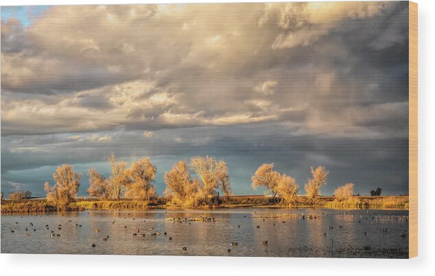 California Wood Print featuring the photograph Golden Hour in the Refuge by Cheryl Strahl