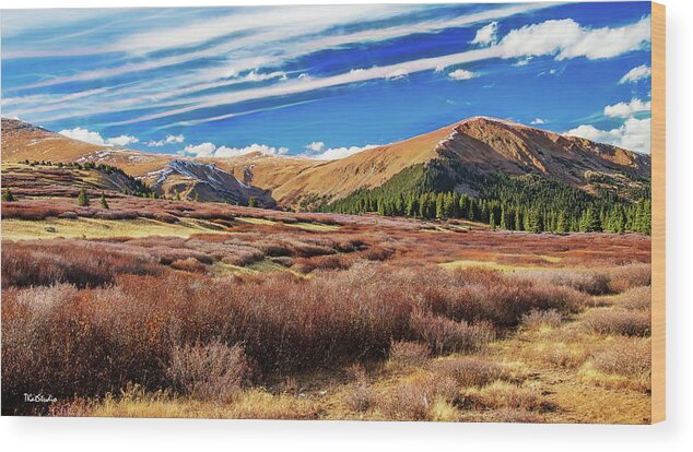 Guanella Pass Wood Print featuring the photograph Guanella Pass Colors by Tim Kathka
