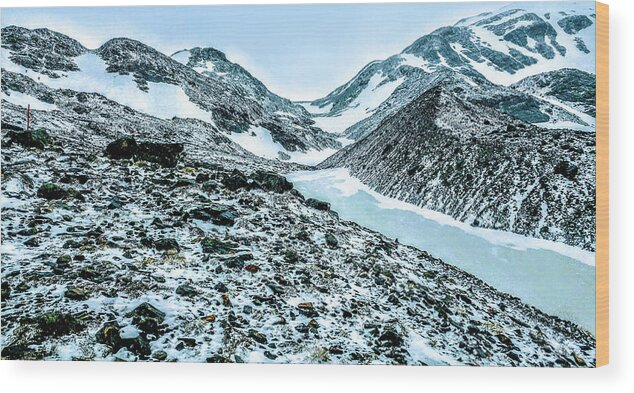  Trekking Wood Print featuring the photograph John Garner's Pass,Patagonia by Leslie Struxness