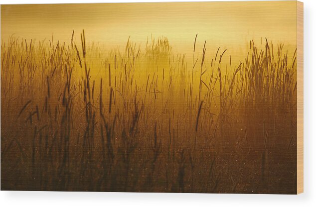 Mist Wood Print featuring the photograph Mist by Joris