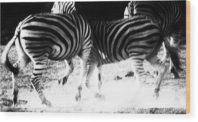 Zebra Wood Print featuring the photograph Monochrome Motion by Mark Hunter