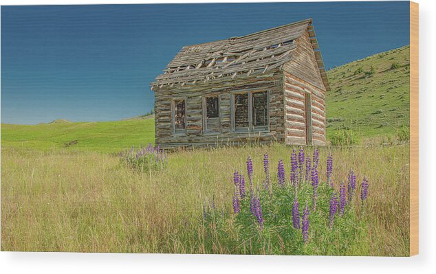 Log Cabin Wood Print featuring the photograph Neglected and Alone by Marcy Wielfaert