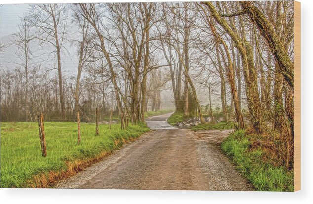 Great Smoky Mountains National Park Wood Print featuring the photograph Sparks Lane On A Foggy Winter Morning by Marcy Wielfaert