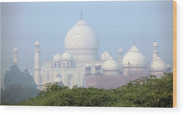 Air Pollution Wood Print featuring the photograph Taj In Morning Mist by Sisoje