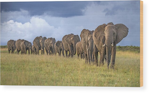Africa Wood Print featuring the photograph The Land Of The Giants by Xavier Ortega