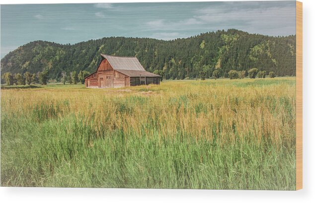 T A Moulton Barn Wood Print featuring the photograph The Other Side of Moulton Barn by Marcy Wielfaert