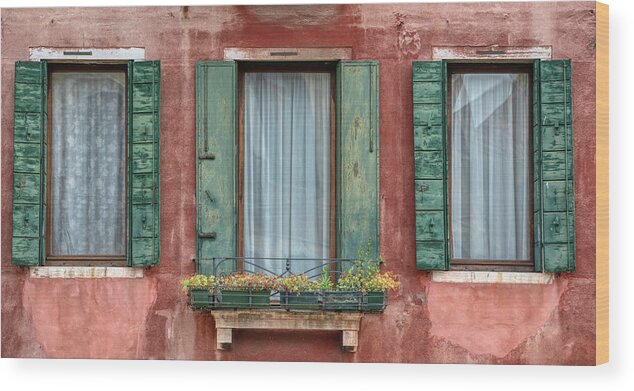 Venice Wood Print featuring the photograph Three Windows with Green Shutters of Venice by David Letts